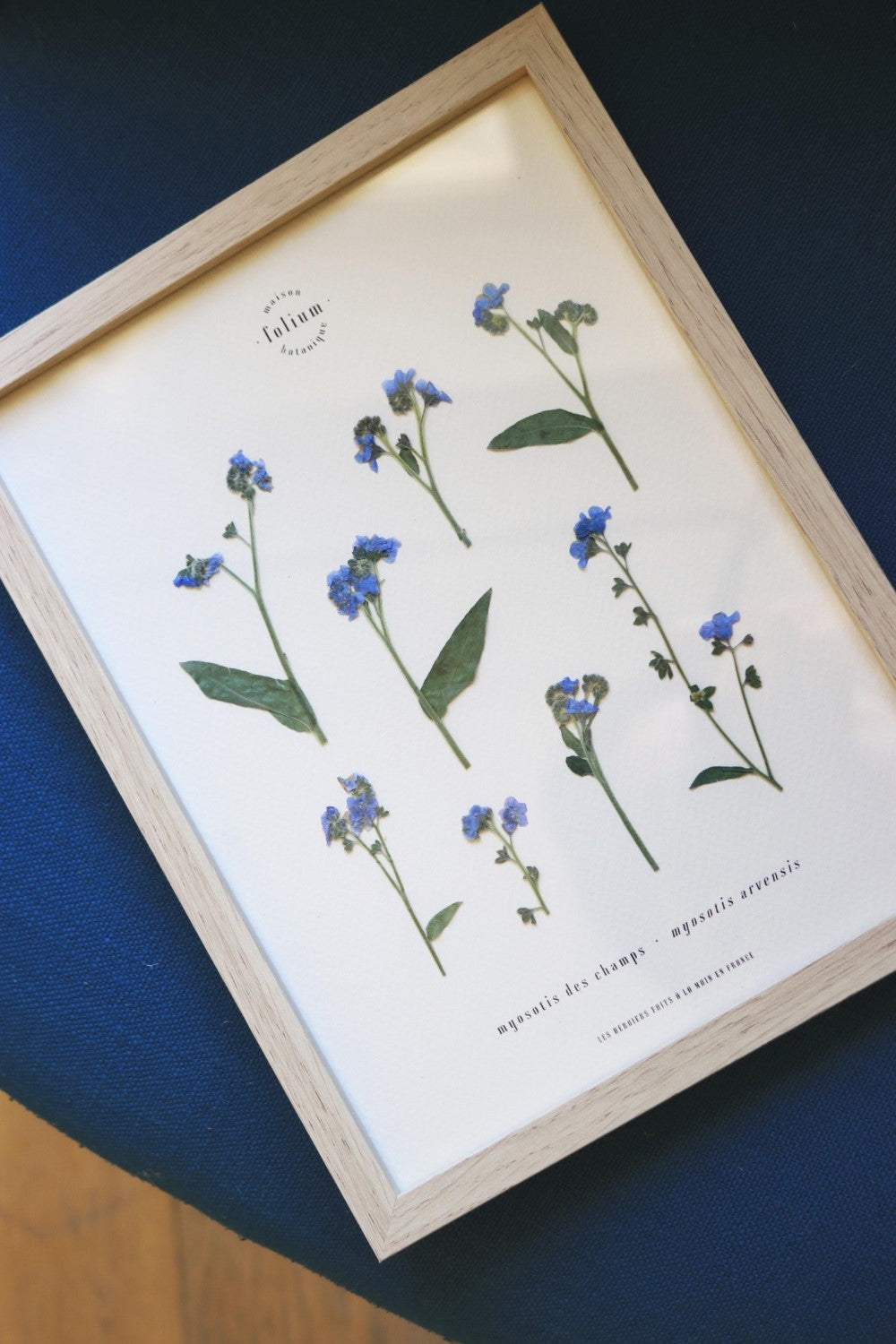 Herbier de fleurs séchées myosotis bleu forget me not Herbarium encadré Cadre fleurs séchées Cadeau Décoration Murale Folium