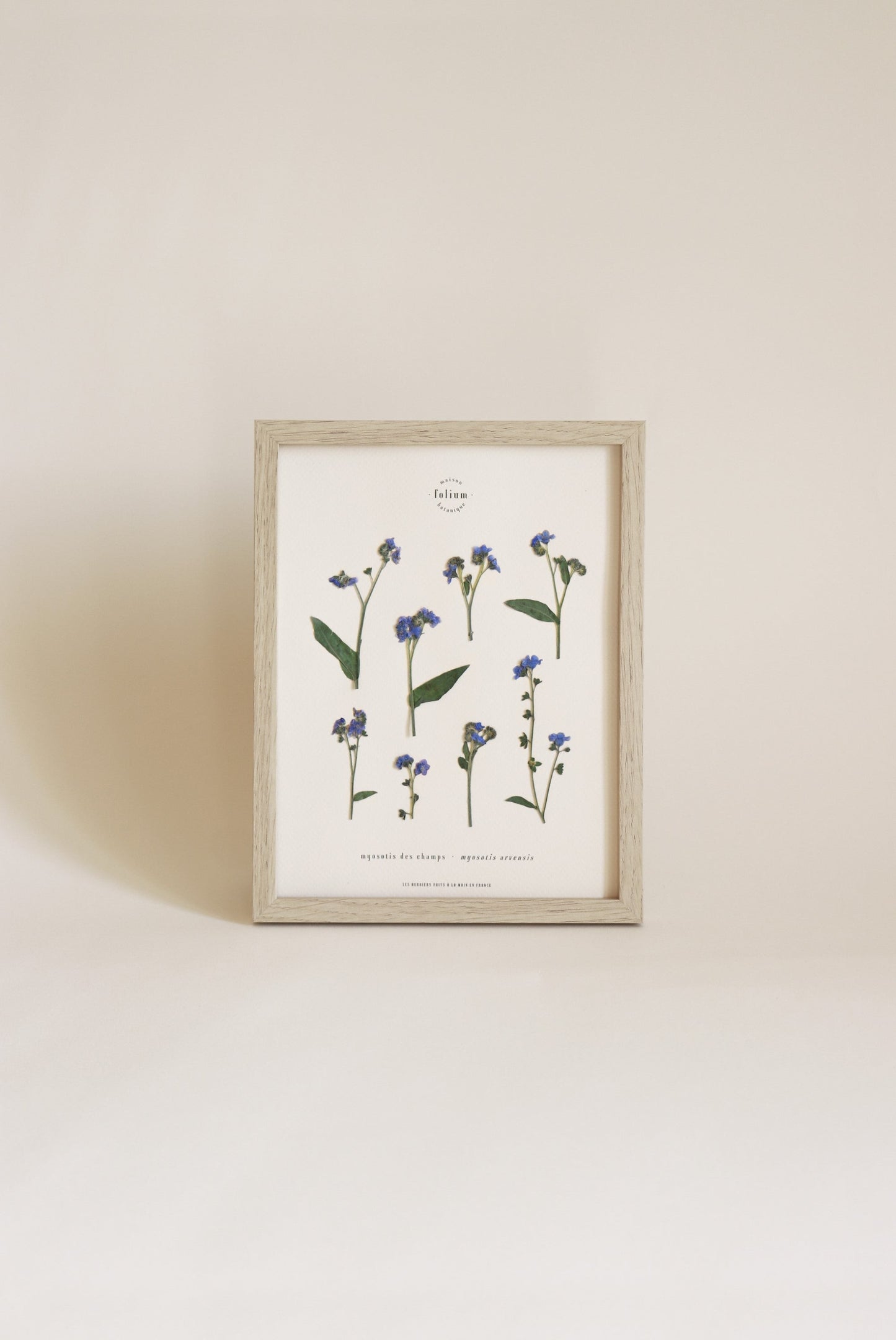 Herbier de fleurs séchées myosotis bleu forget me not Herbarium encadré Cadre fleurs séchées Cadeau Décoration Murale Folium