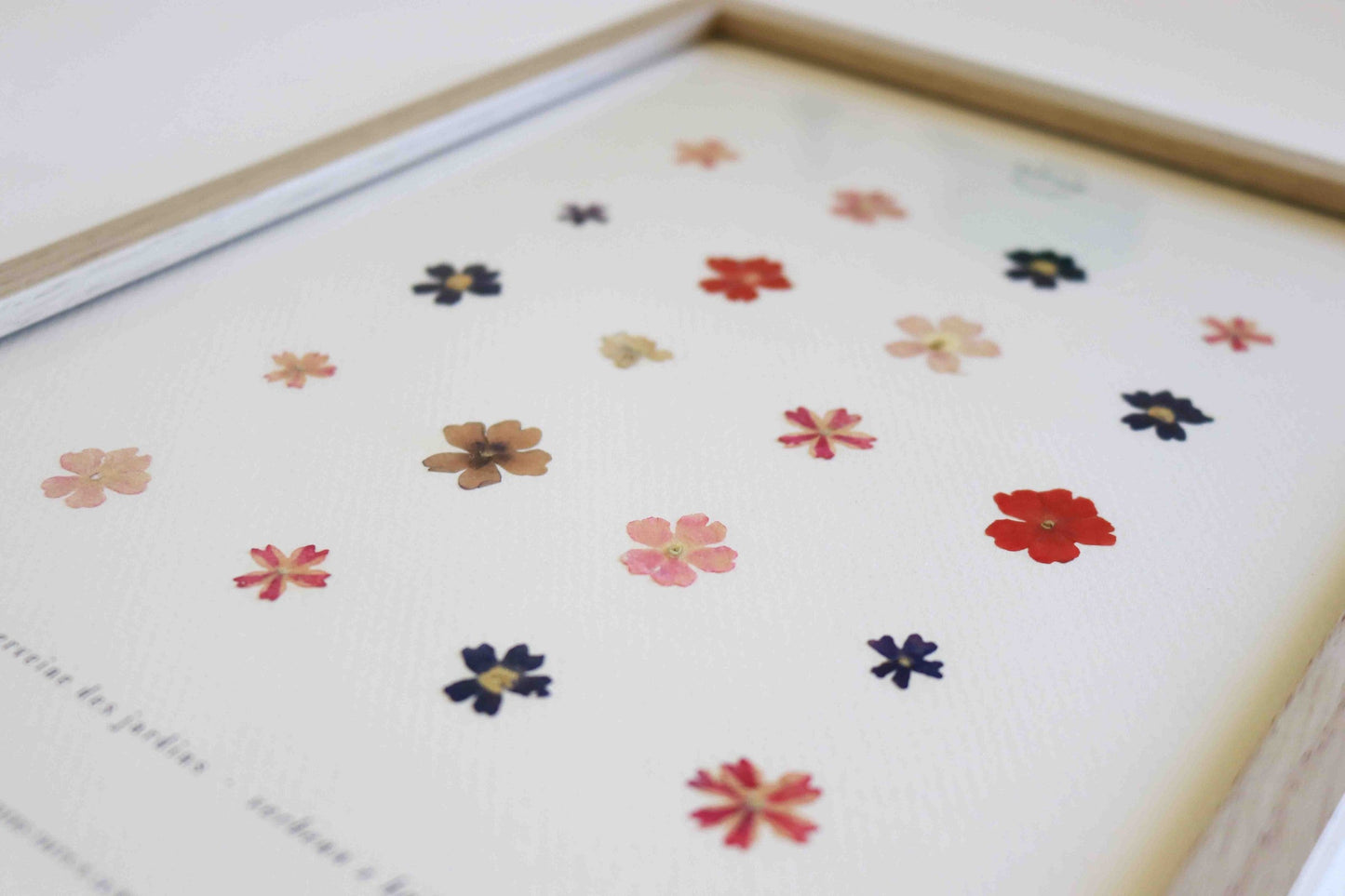 Herbier encadré de fleurs de verveine rose bleu Cadre Herbarium de fleurs séchées Cadeau fleurs séchées Folium Maison Botanique