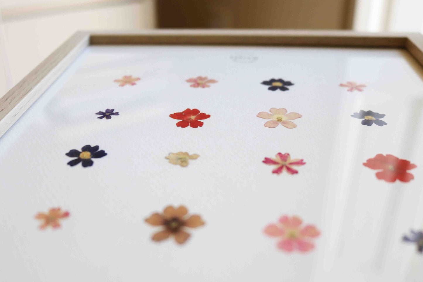 Herbier encadré de fleurs de verveine rose bleu Cadre Herbarium de fleurs séchées Cadeau fleurs séchées Folium Maison Botanique