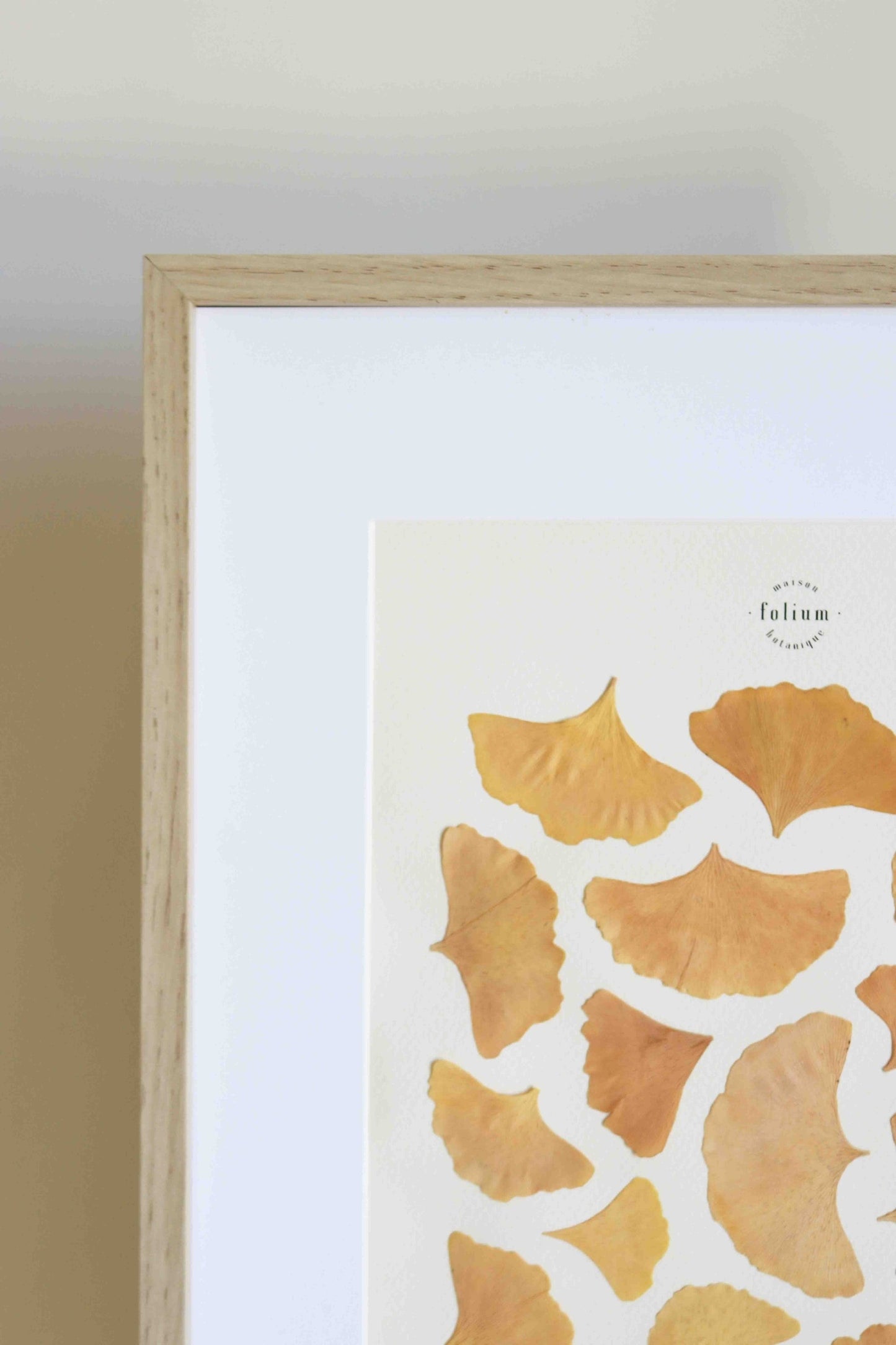 Folium Maison Botanique herbier de fleurs pressées fleurs séchées herbier encadré tableau vraies fleurs cadeau mariage herbarium
