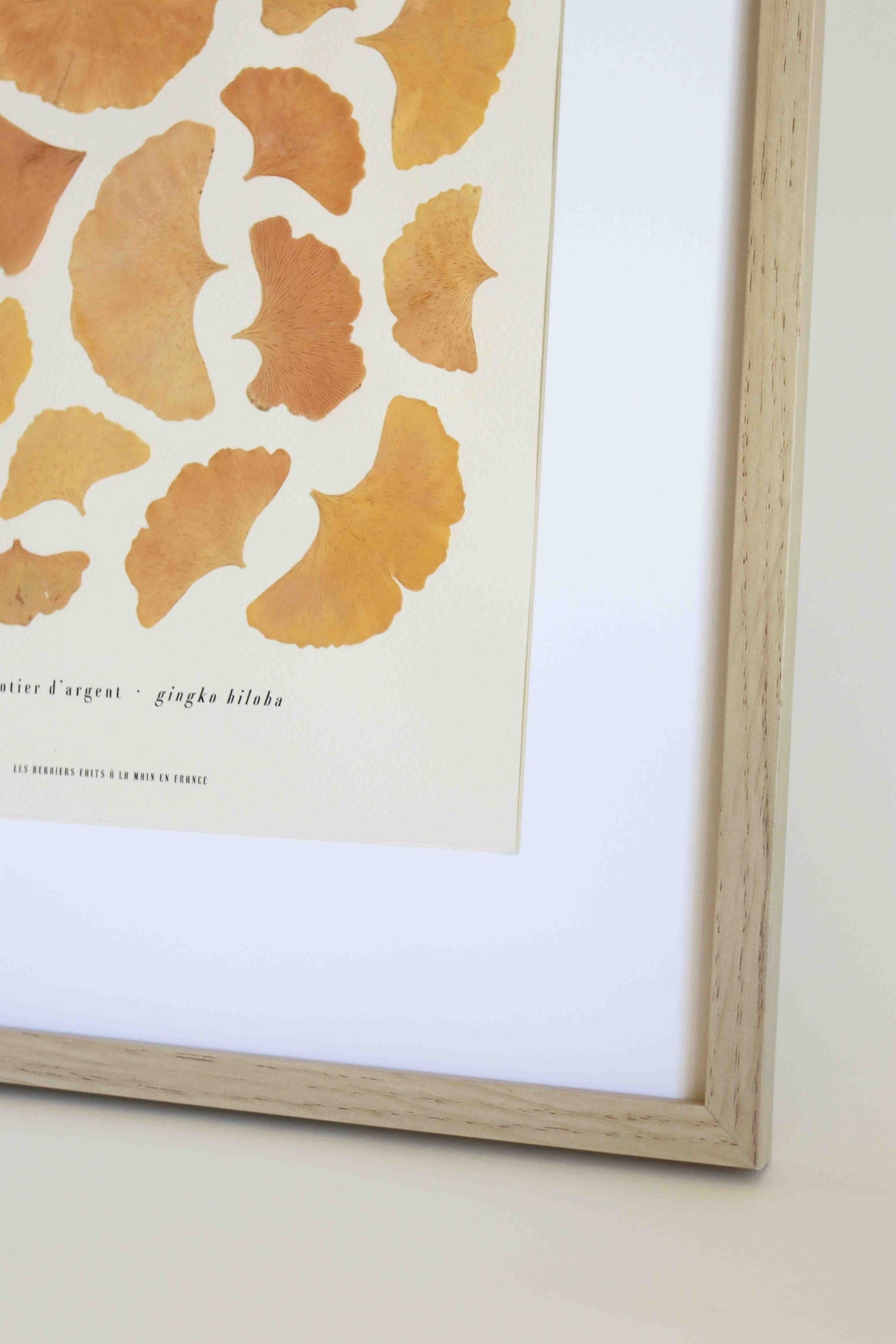 Folium Maison Botanique herbier de fleurs pressées fleurs séchées herbier encadré tableau vraies fleurs cadeau mariage herbarium