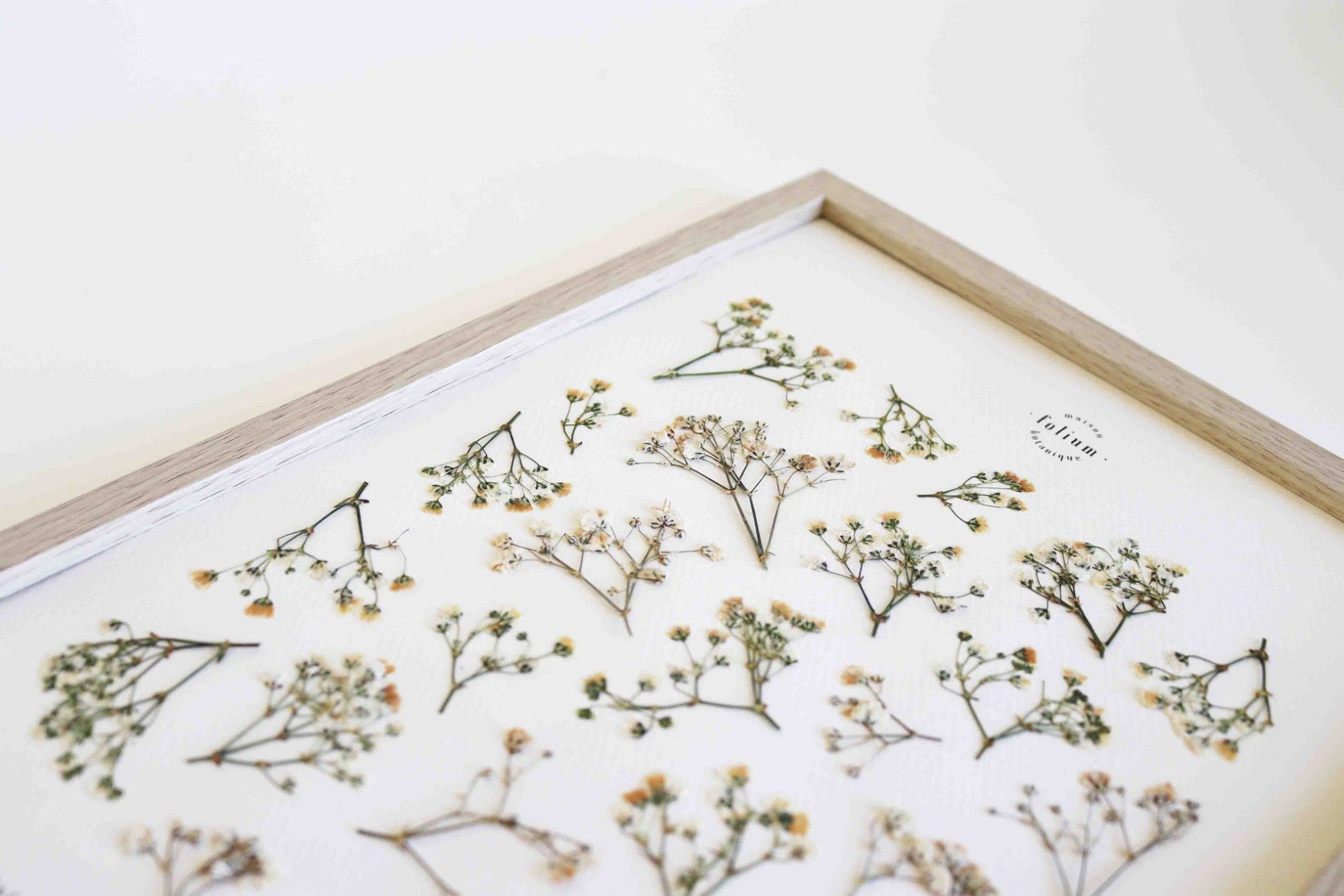 Herbier encadré de Gypsophile Herbarium de fleurs séchées pressées Tableau Décoration murale floral Art floral Folium