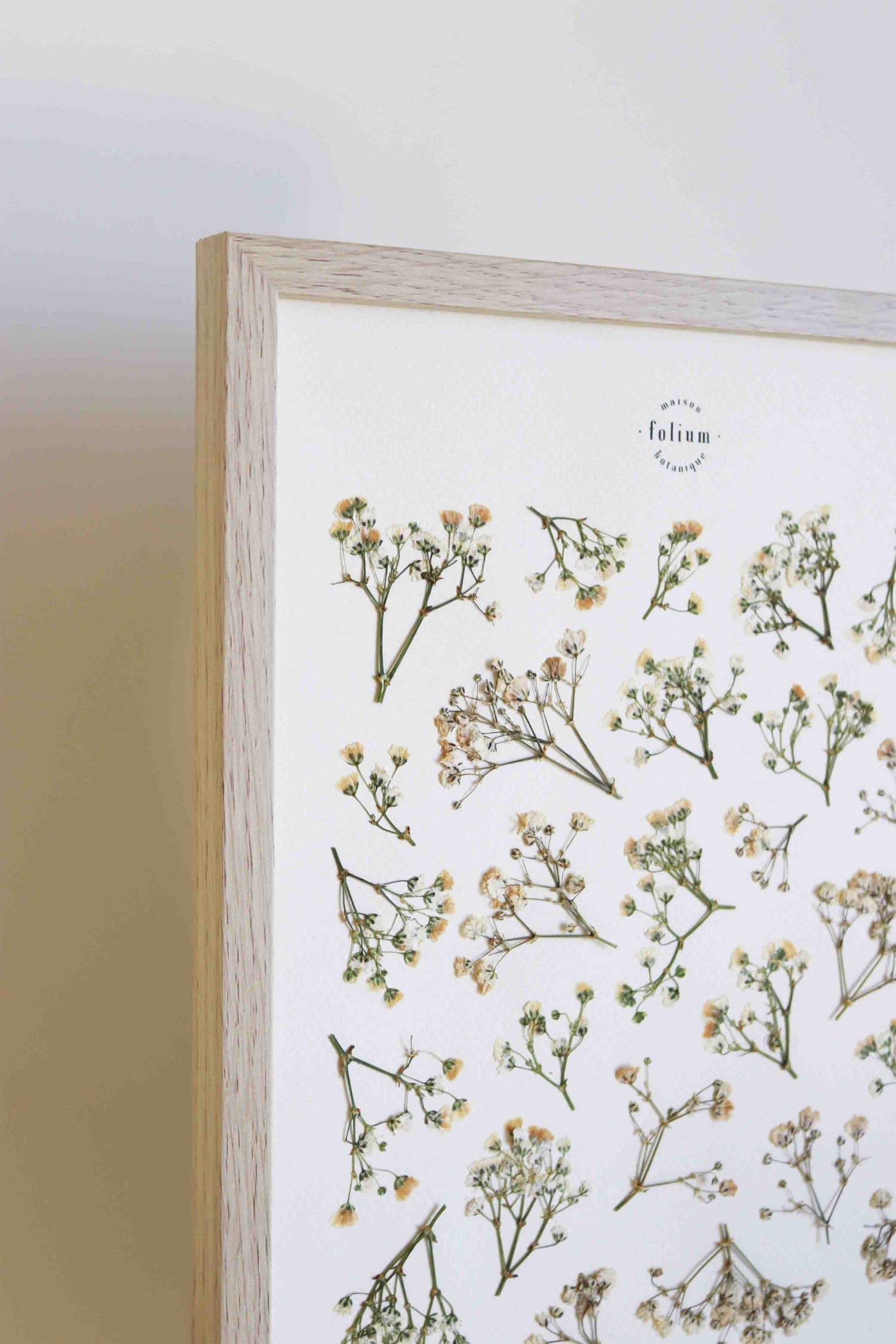 Herbier encadré de Gypsophile Herbarium de fleurs séchées pressées Tableau Décoration murale floral Art floral Folium
