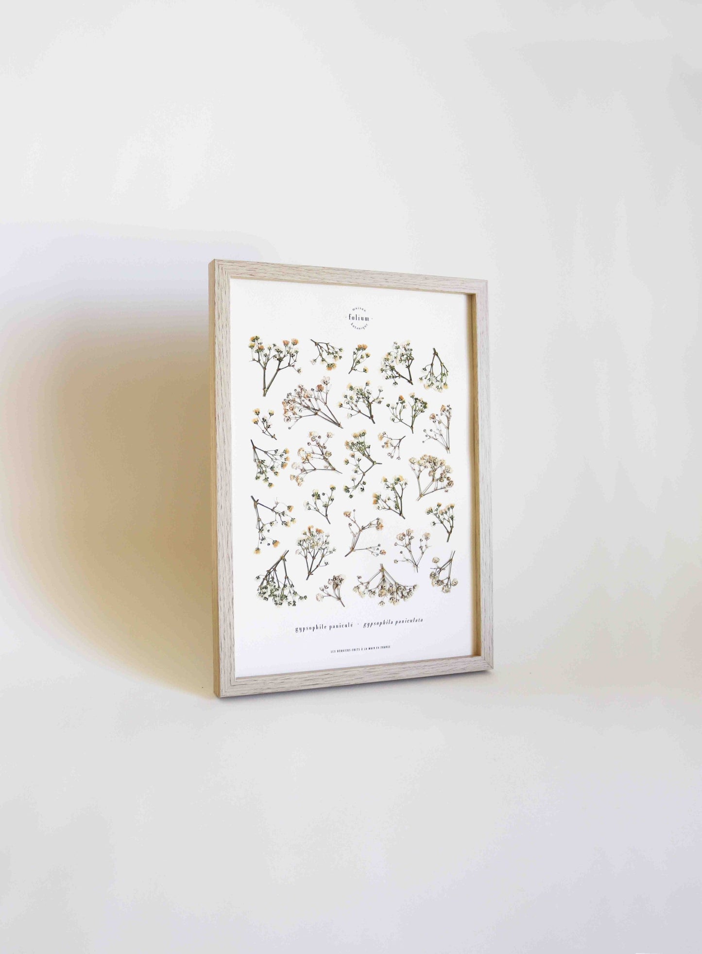 Herbier encadré de Gypsophile Herbarium de fleurs séchées pressées Tableau Décoration murale floral Art floral Folium