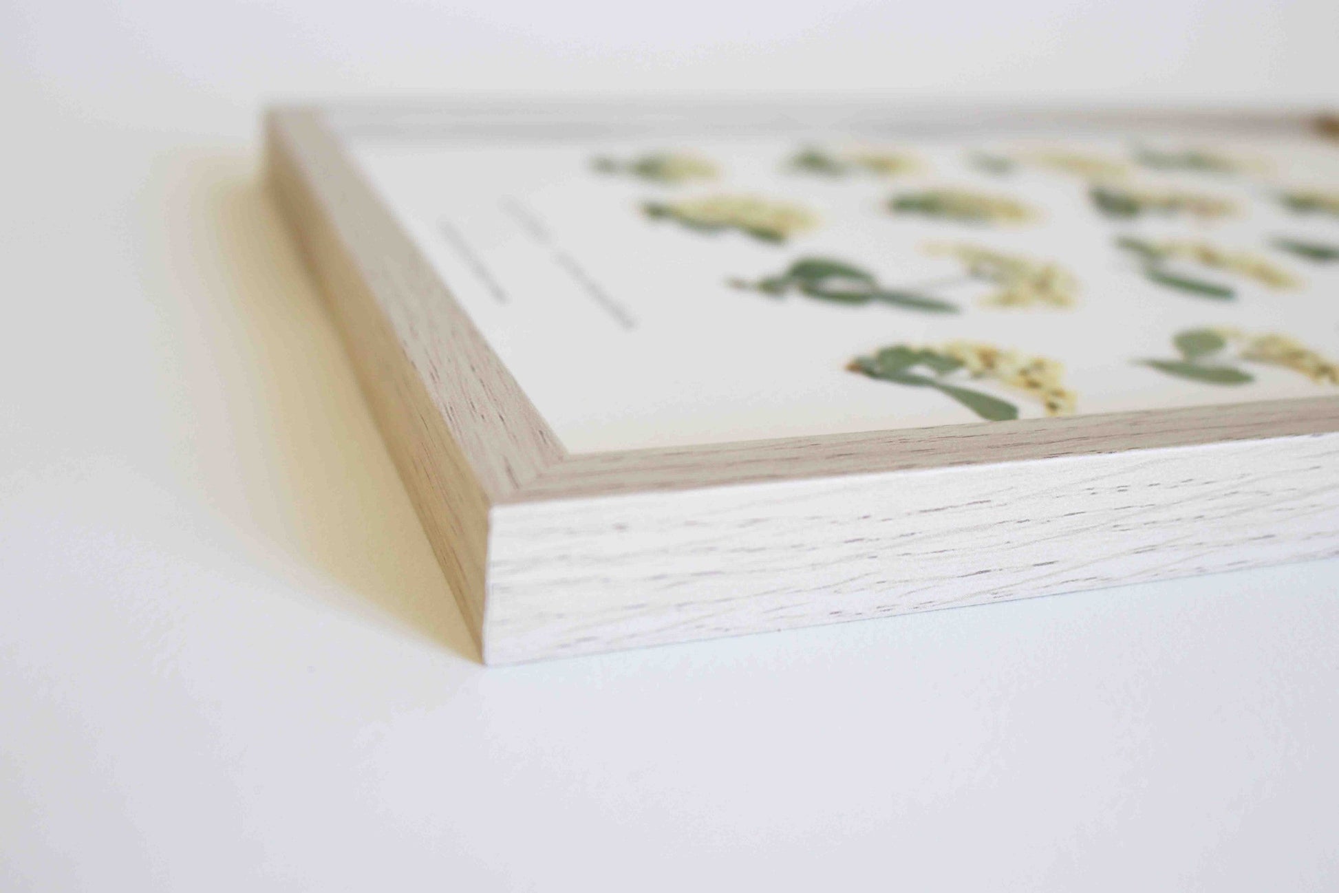 Herbier botanique de fleurs séchées Cadre herbarium encadré Cadeau floral Décoration murale Folium Maison Botanique