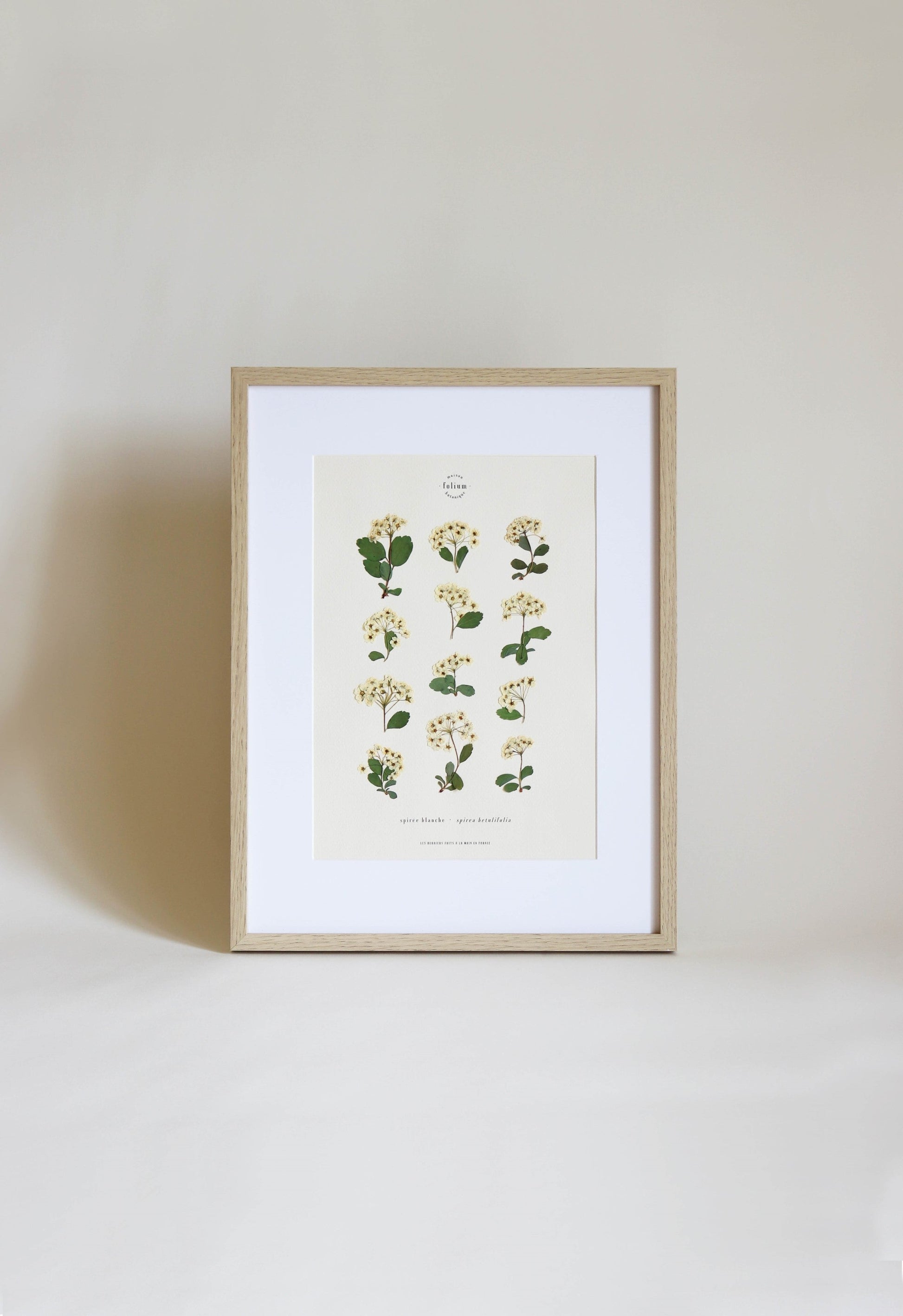 Herbier botanique de fleurs séchées Cadre herbarium encadré Cadeau floral Décoration murale Folium Maison Botanique