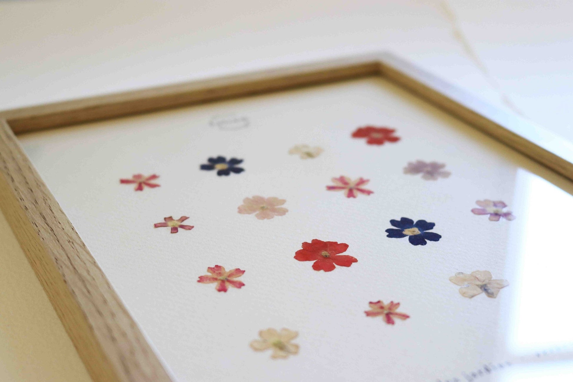 Herbier encadré de fleurs de verveine rose bleu Cadre Herbarium de fleurs séchées Cadeau fleurs séchées Folium Maison Botanique