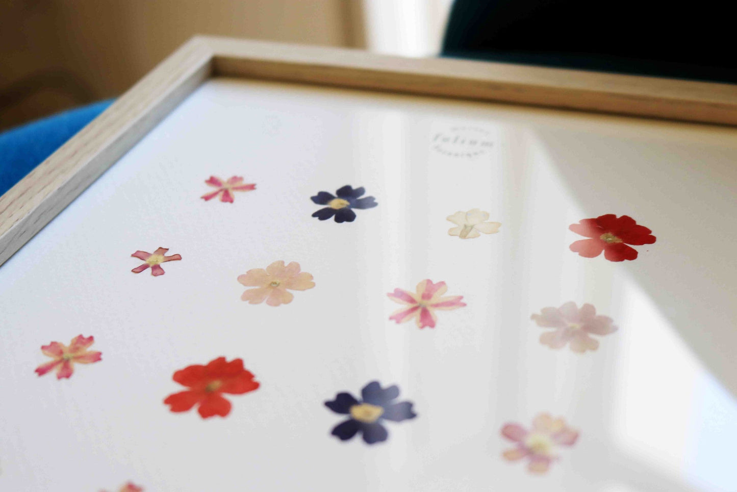 Herbier encadré de fleurs de verveine rose bleu Cadre Herbarium de fleurs séchées Cadeau fleurs séchées Folium Maison Botanique