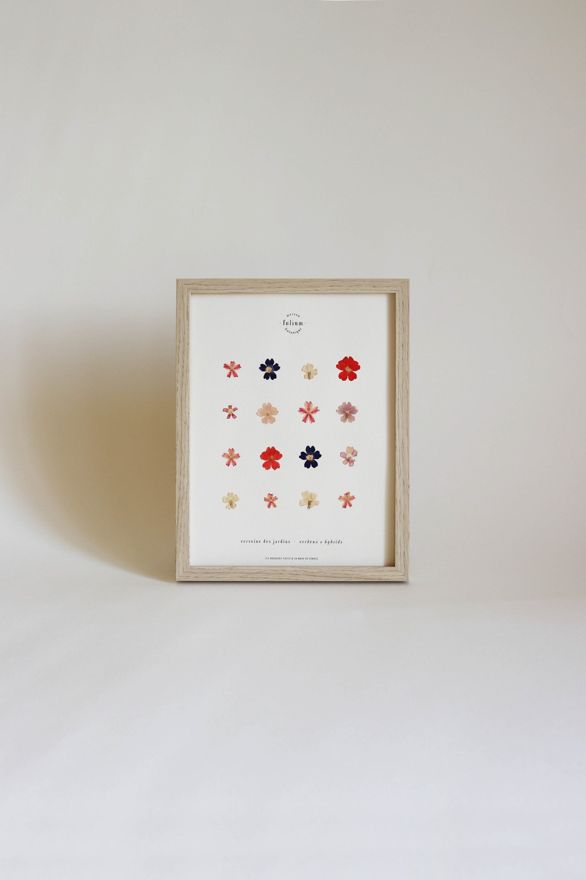 Herbier encadré de fleurs de verveine rose bleu Cadre Herbarium de fleurs séchées Cadeau fleurs séchées Folium Maison Botanique