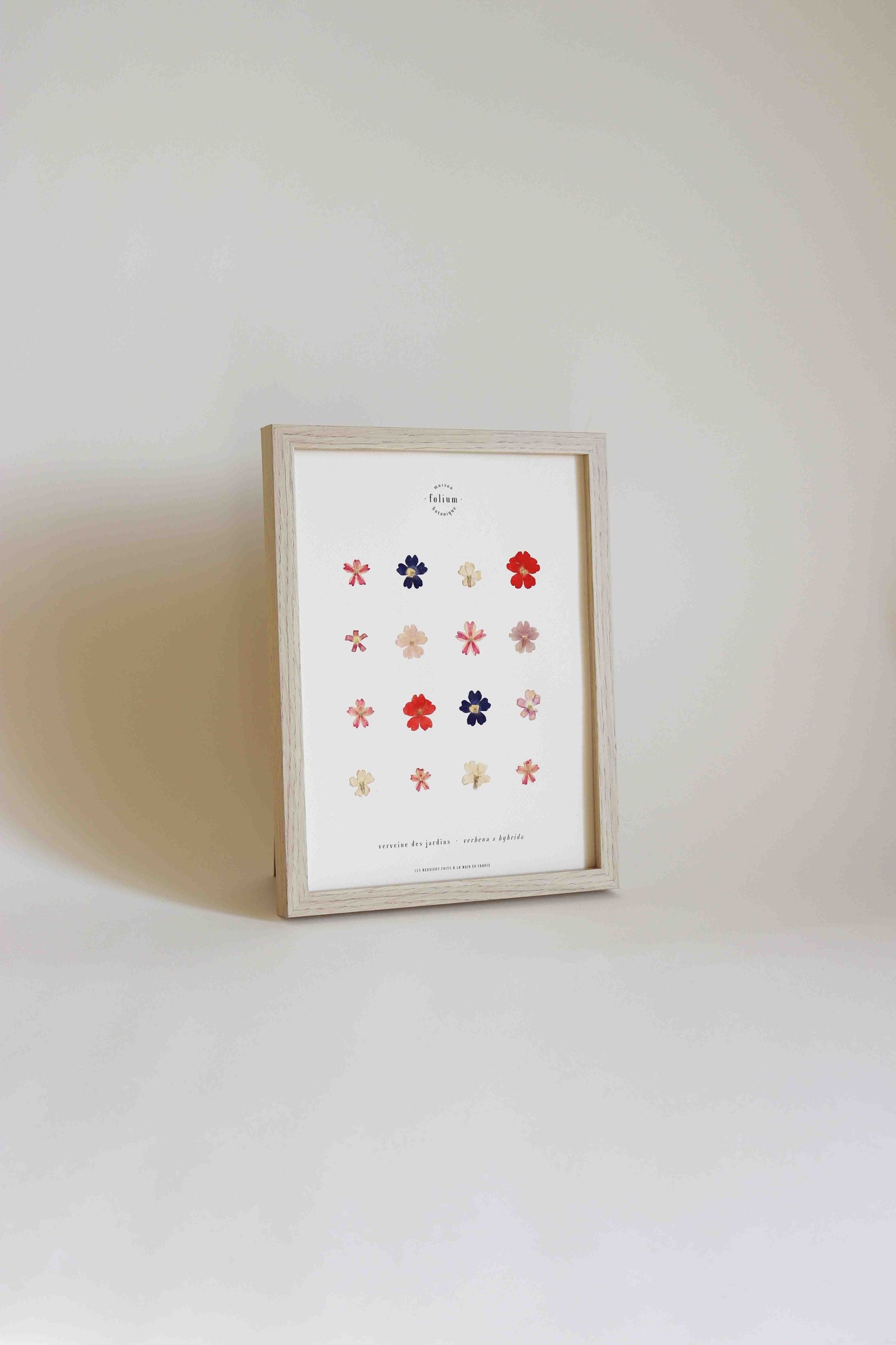 Herbier encadré de fleurs de verveine rose bleu Cadre Herbarium de fleurs séchées Cadeau fleurs séchées Folium Maison Botanique