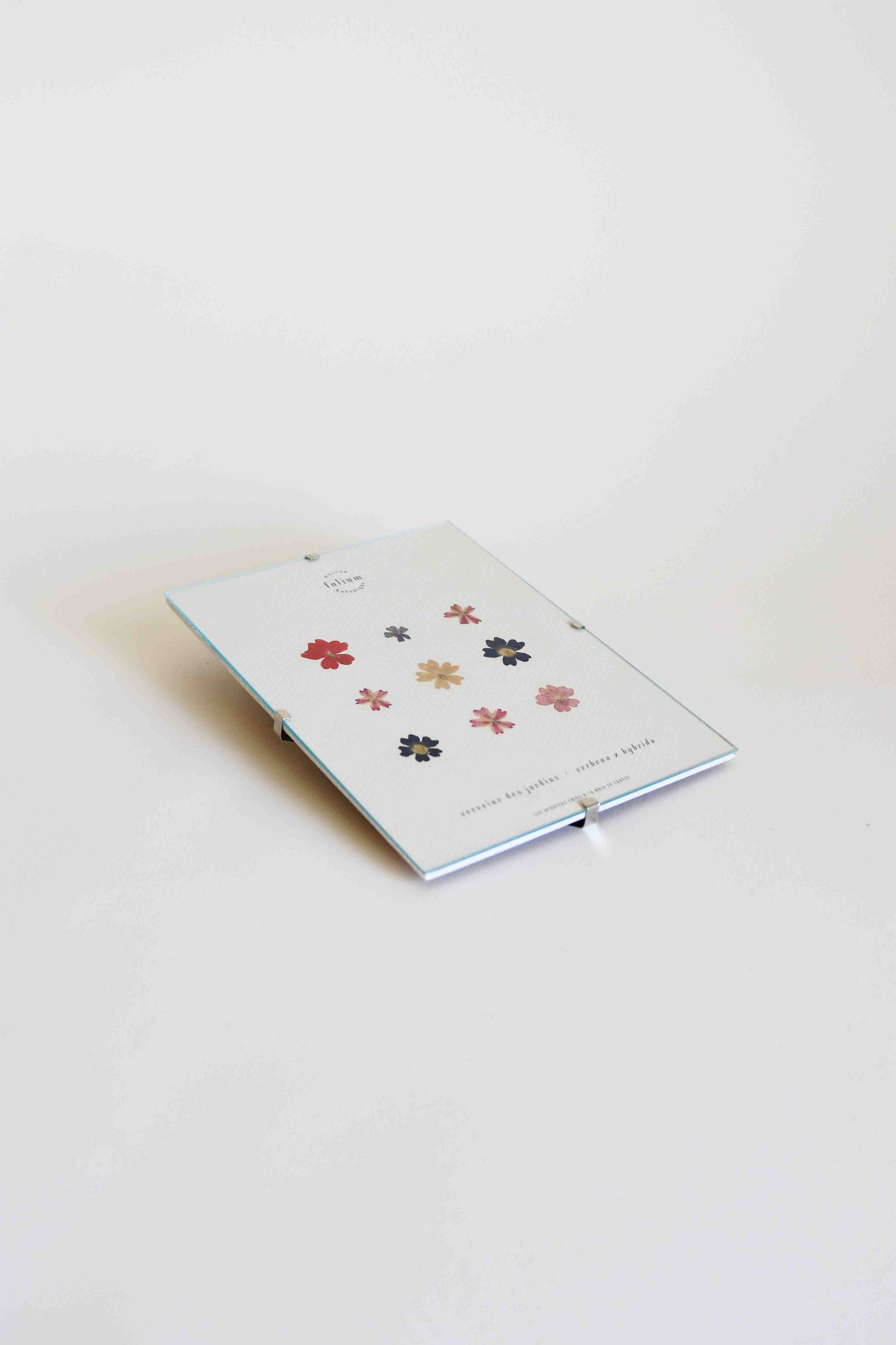 Herbier encadré de fleurs de verveine rose bleu Cadre Herbarium de fleurs séchées Cadeau fleurs séchées Folium Maison Botanique