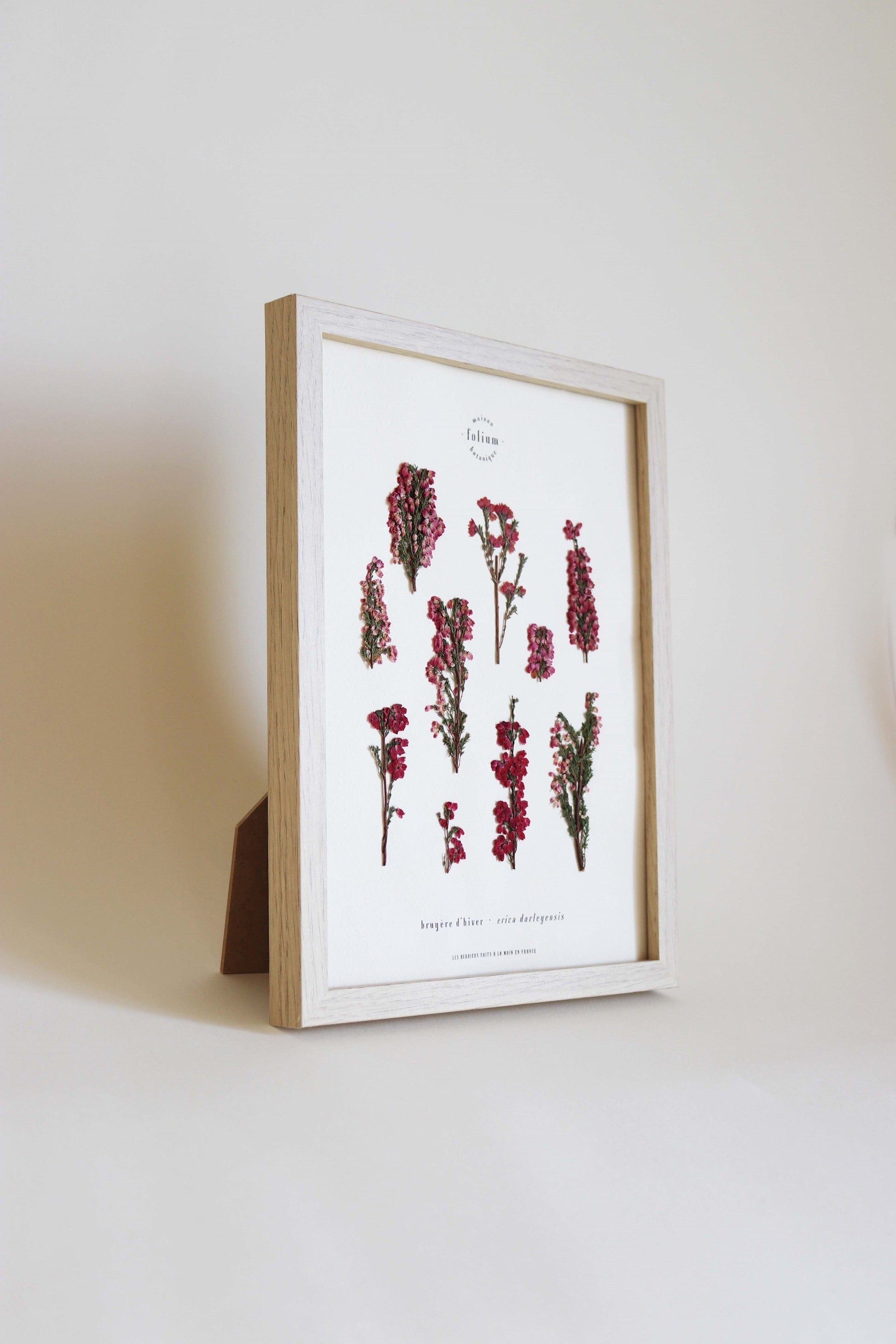 Herbier de fleurs roses bruyère séchée Herbarium encadré Cadre fleur herbier botanique Folium Herbaria Décoration Murale
