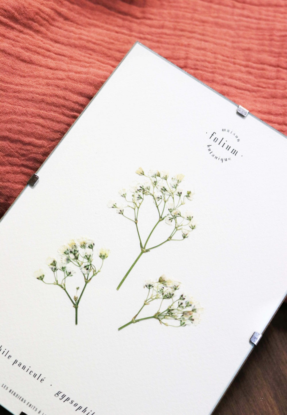 Herbier fleurs blanches Cadeau de naissance floral Décoration murale mur de cadres Gypsophile Baby's breathe Folium