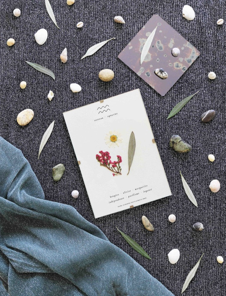 Herbier astrologique du verseau avec de vraies fleurs séchées encadré en 13x18cm signe astro cadeau verseau zodiaque