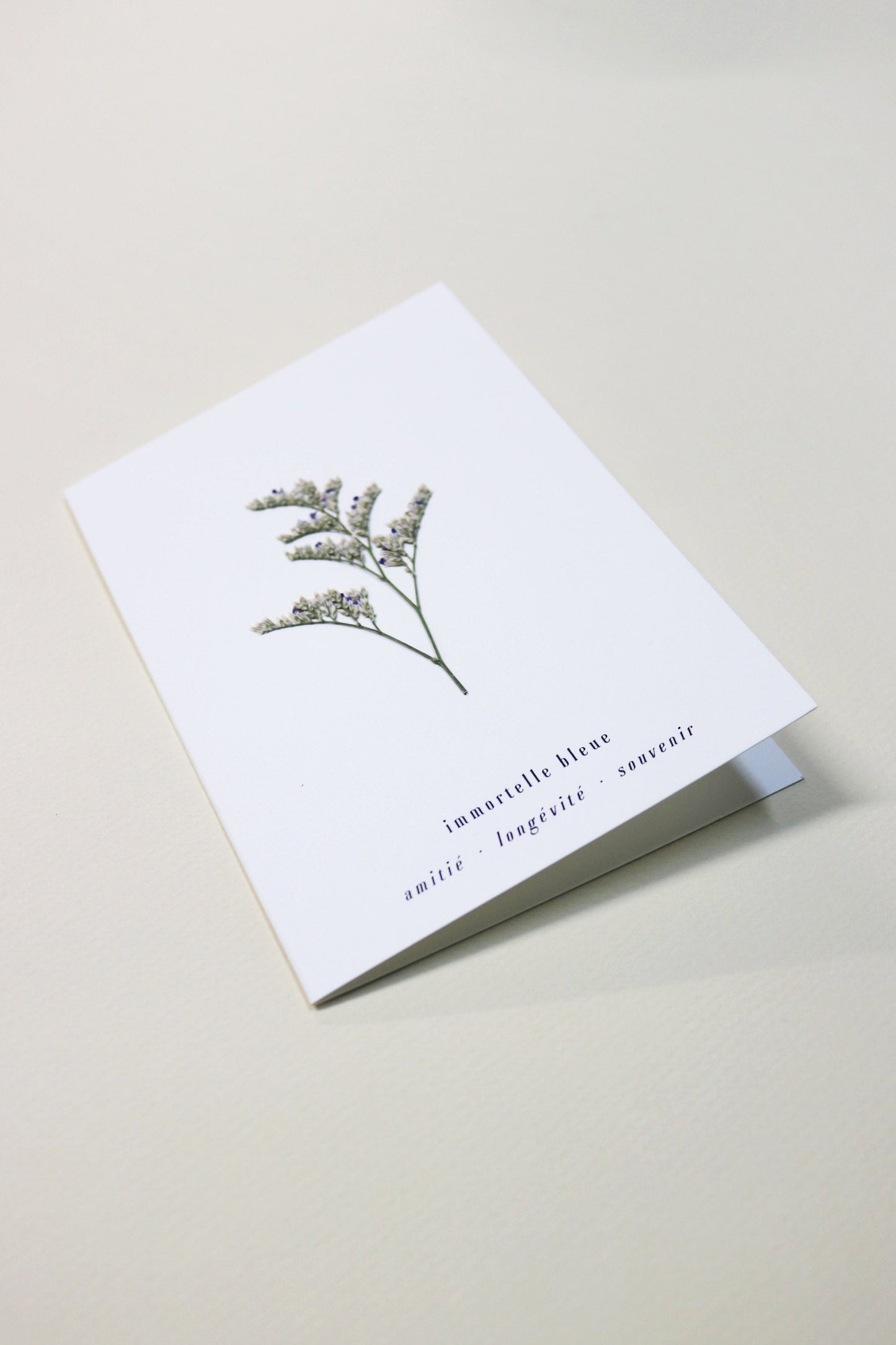 Carte vraie fleur séchée carte de vœux cadeau anniversaire symbolique langage des fleurs faire part naissance mariage immortelle séchées lavande des mers