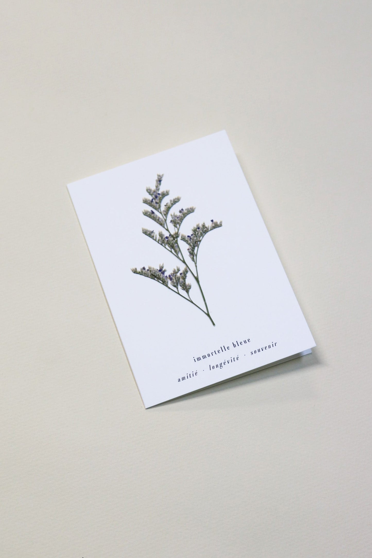 Carte vraie fleur séchée carte de vœux cadeau anniversaire symbolique langage des fleurs faire part naissance mariage immortelle séchées lavande des mers