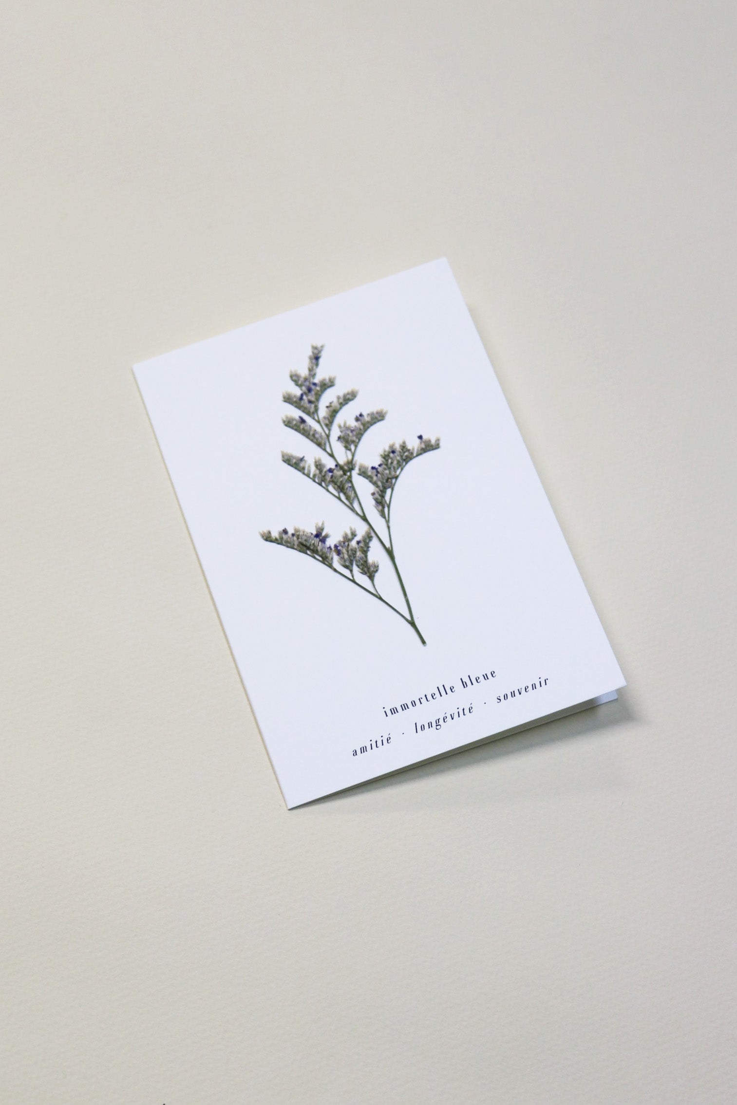Carte vraie fleur séchée carte de vœux cadeau anniversaire symbolique langage des fleurs faire part naissance mariage immortelle séchées lavande des mers