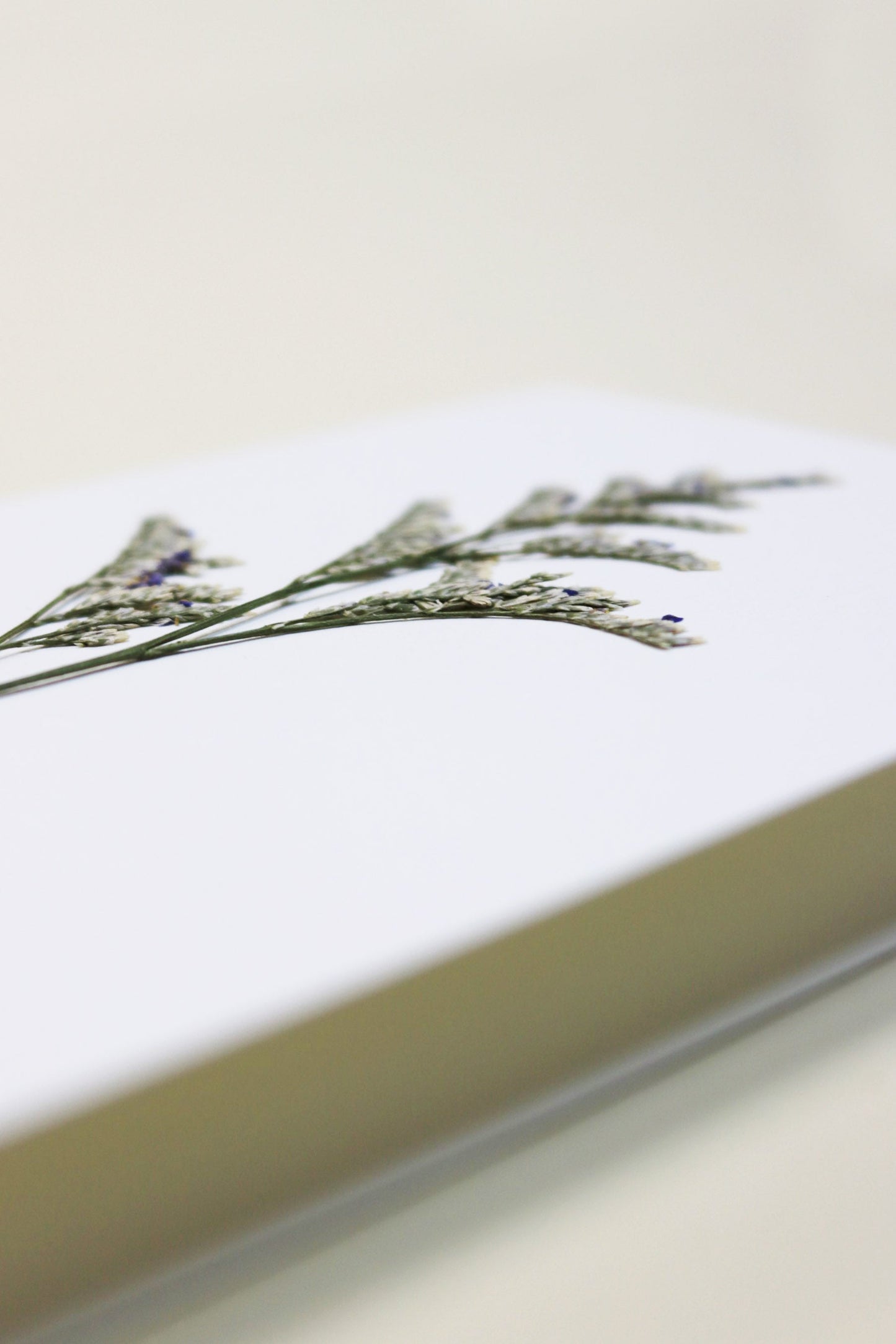 Carte vraie fleur séchée carte de vœux cadeau anniversaire symbolique langage des fleurs faire part naissance mariage immortelle séchées lavande des mers