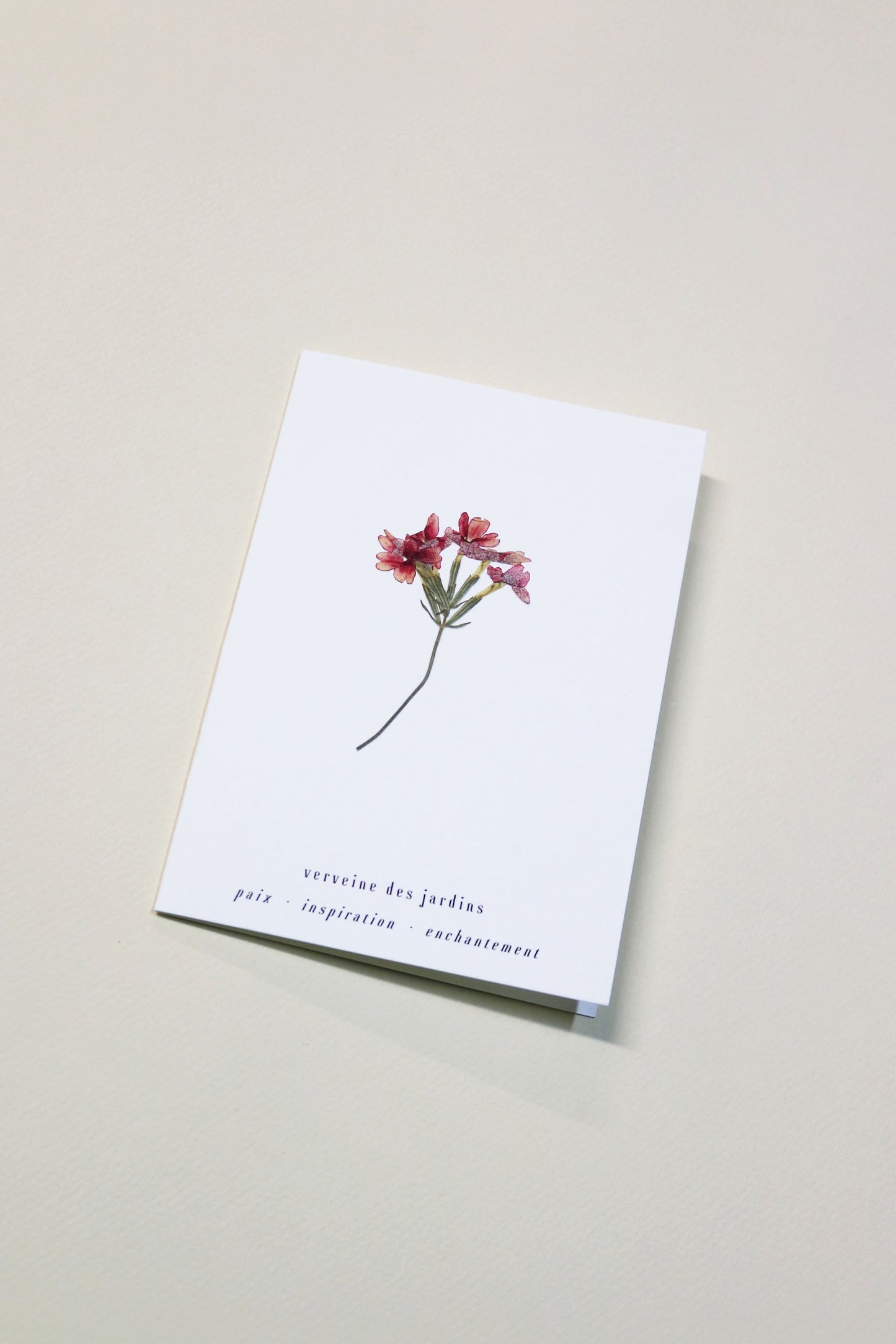 Carte vraie fleur séchée carte de vœux cadeau anniversaire symbolique langage des fleurs faire part naissance mariage verveine des jardin