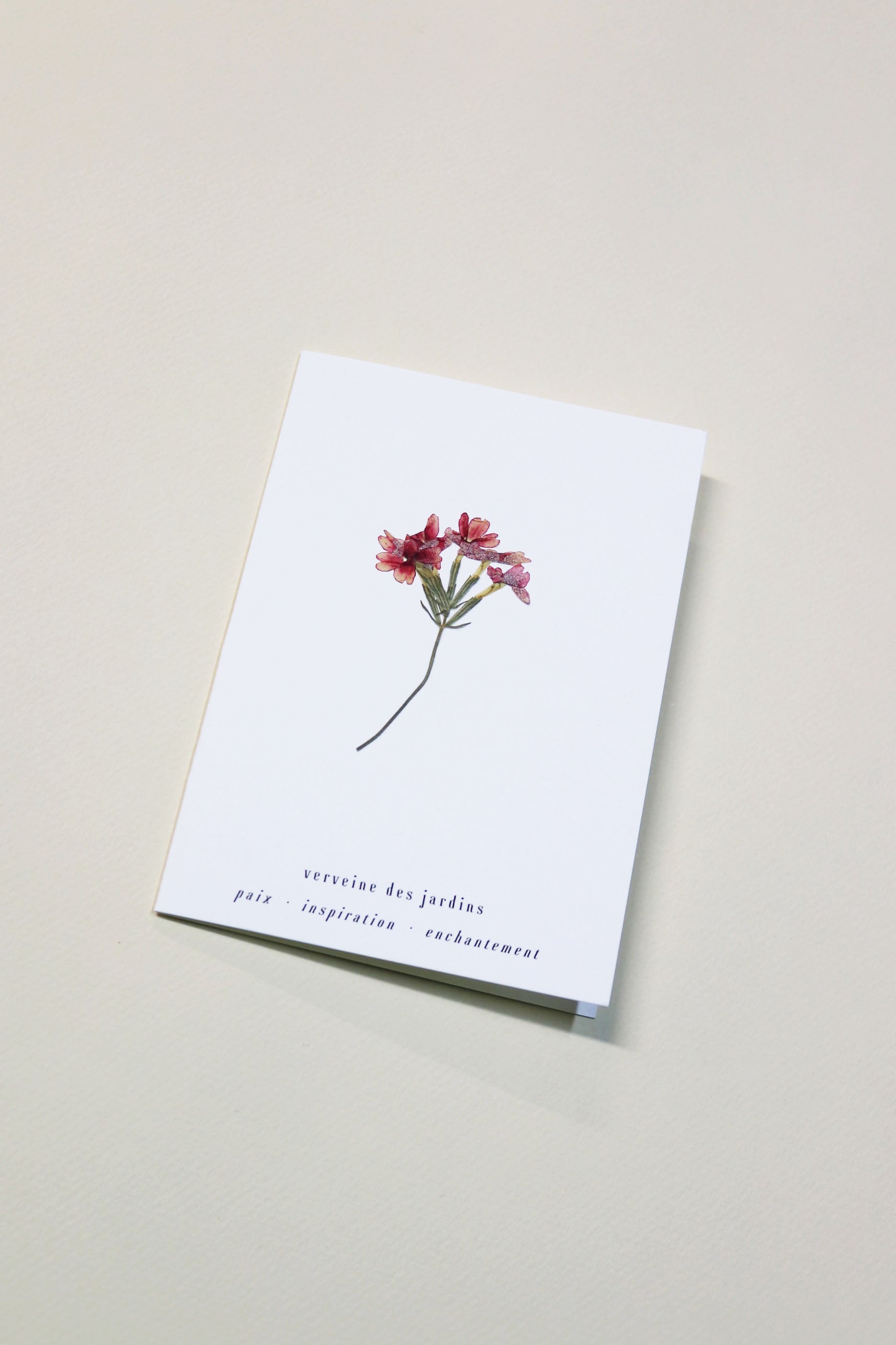 Carte vraie fleur séchée carte de vœux cadeau anniversaire symbolique langage des fleurs faire part naissance mariage verveine des jardin
