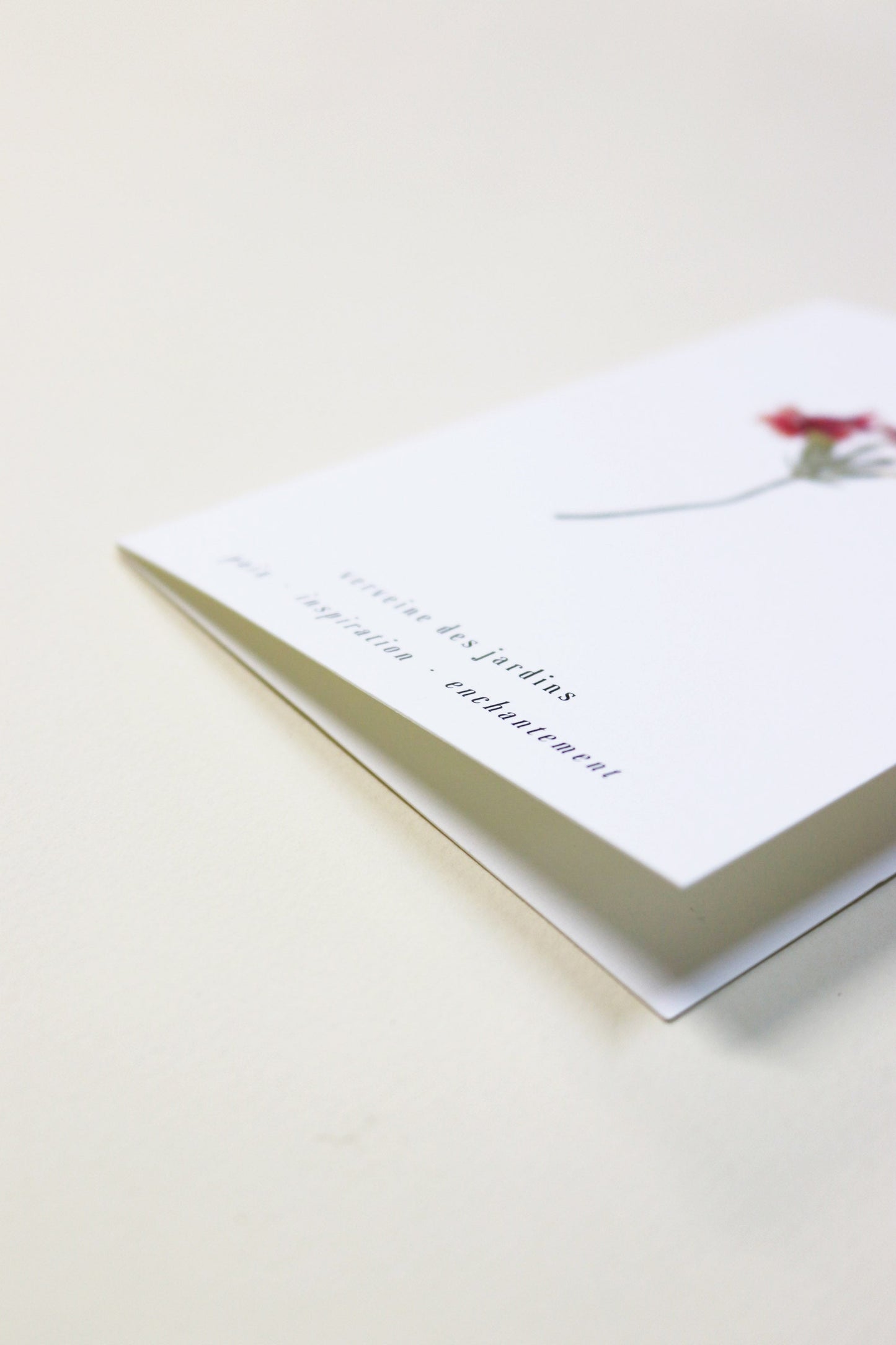 Carte vraie fleur séchée carte de vœux cadeau anniversaire symbolique langage des fleurs faire part naissance mariage verveine des jardin