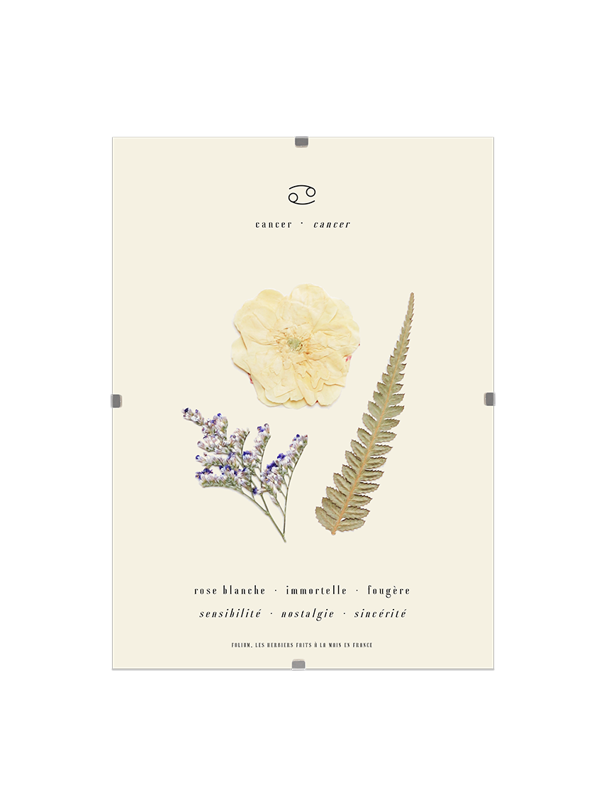 Herbier astrologique du cancer avec de vraies fleurs séchées encadré en 13x18cm signe astro cadeau cancer zodiaque
