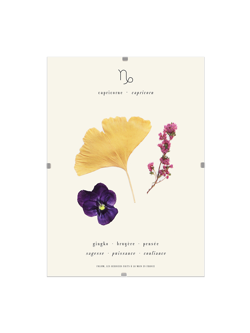 Herbier astrologique du capricorne avec de vraies fleurs séchées encadré en 13x18cm signe astro cadeau capricorne zodiaque