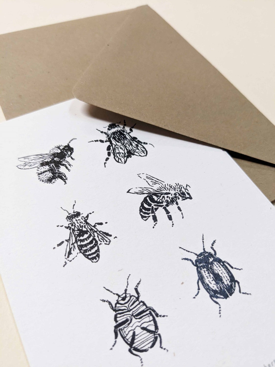 Carte anniversaire botanique illustrations fleurs dessin gravure florale dessin à encadrer folium herbiers