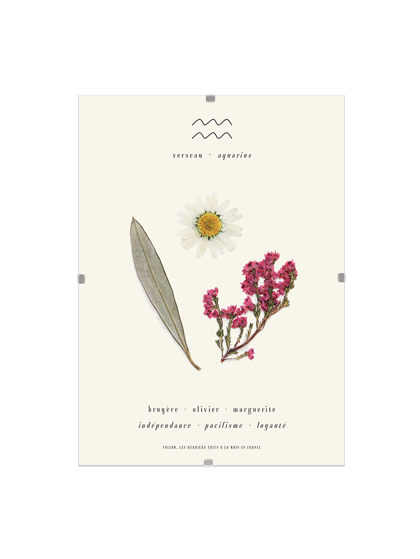 Herbier astrologique du verseau avec de vraies fleurs séchées encadré en 13x18cm signe astro cadeau verseau zodiaque